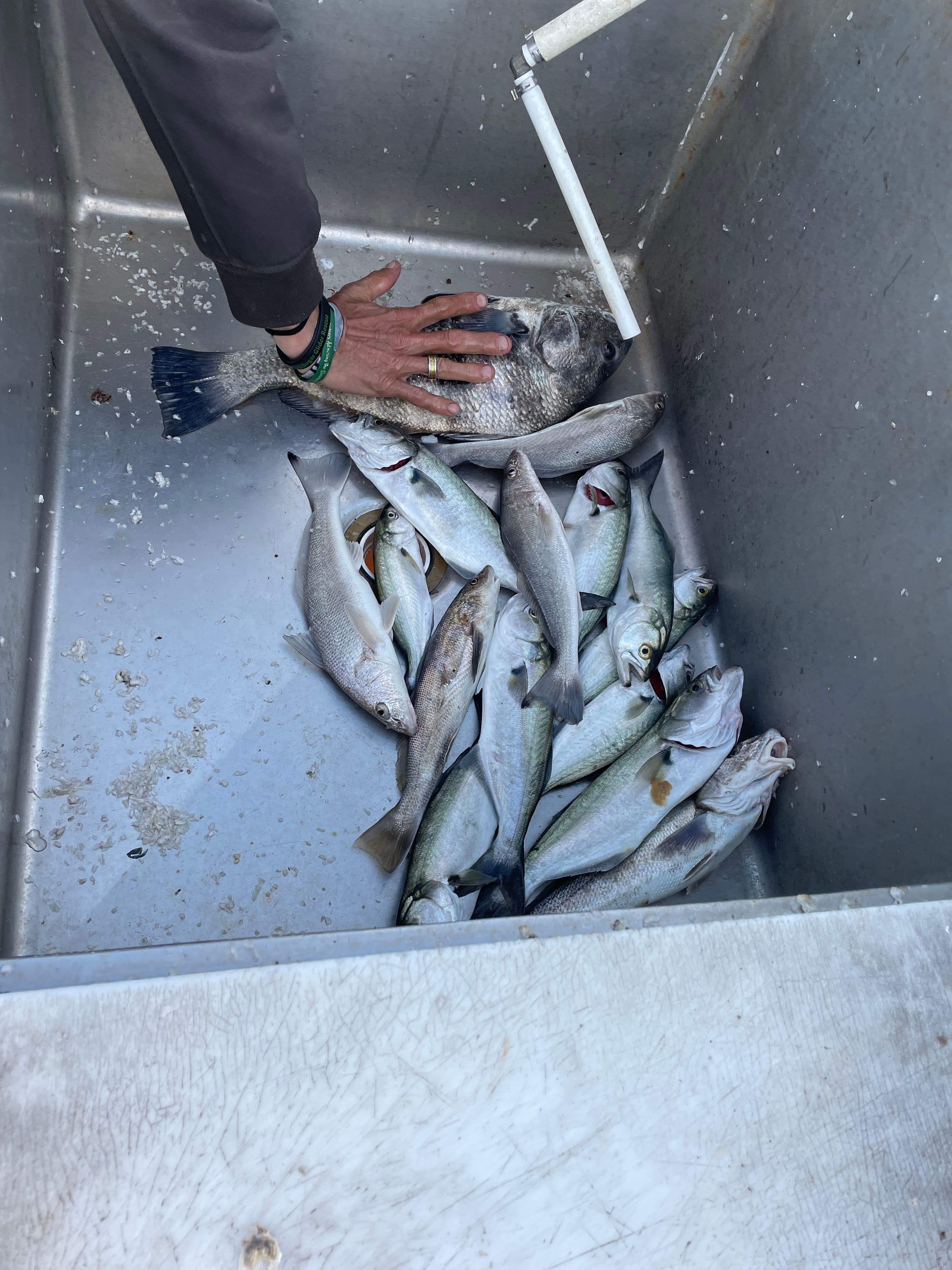 21April - Afternoon Haul